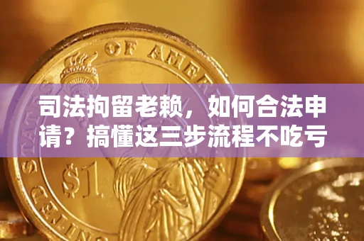 武汉司法拘留老赖，如何合法申请？搞懂这三步流程不吃亏！