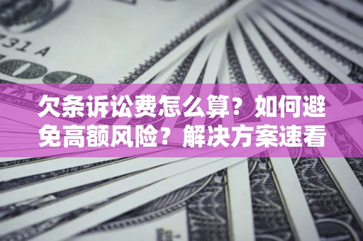 武汉欠条诉讼费怎么算？如何避免高额风险？解决方案速看！