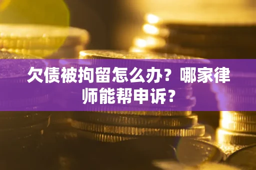 武汉欠债被拘留怎么办？哪家律师能帮申诉？