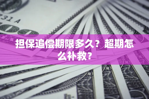 武汉担保追偿期限多久？超期怎么补救？