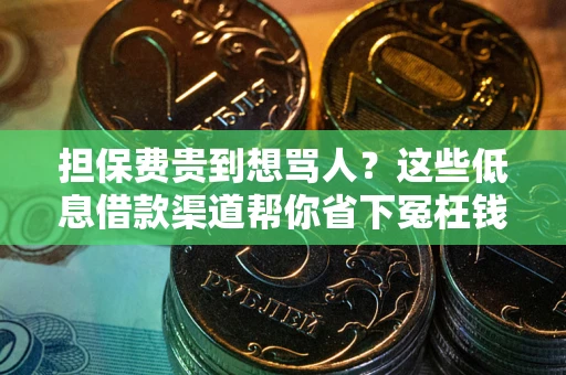 武汉担保费贵到想骂人？这些低息借款渠道帮你省下冤枉钱