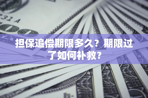 武汉担保追偿期限多久？期限过了如何补救？