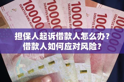 武汉担保人起诉借款人怎么办？借款人如何应对风险？
