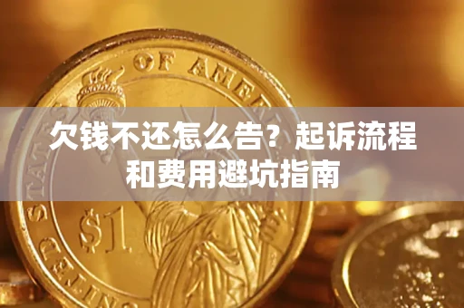 武汉欠钱不还怎么告？起诉流程和费用避坑指南